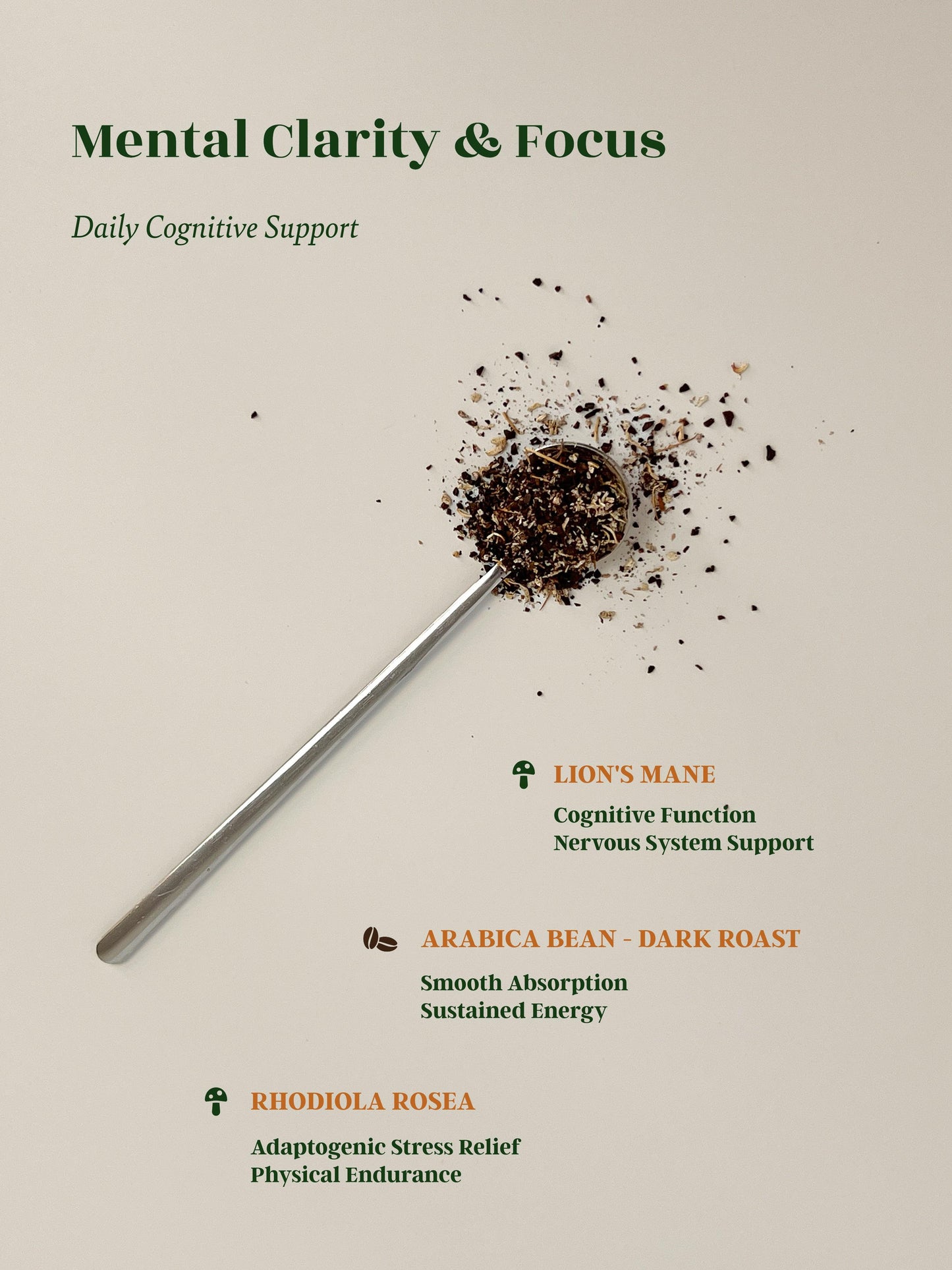 Mushroom Coffee | Lion's Focus | Cognitive Clarity.