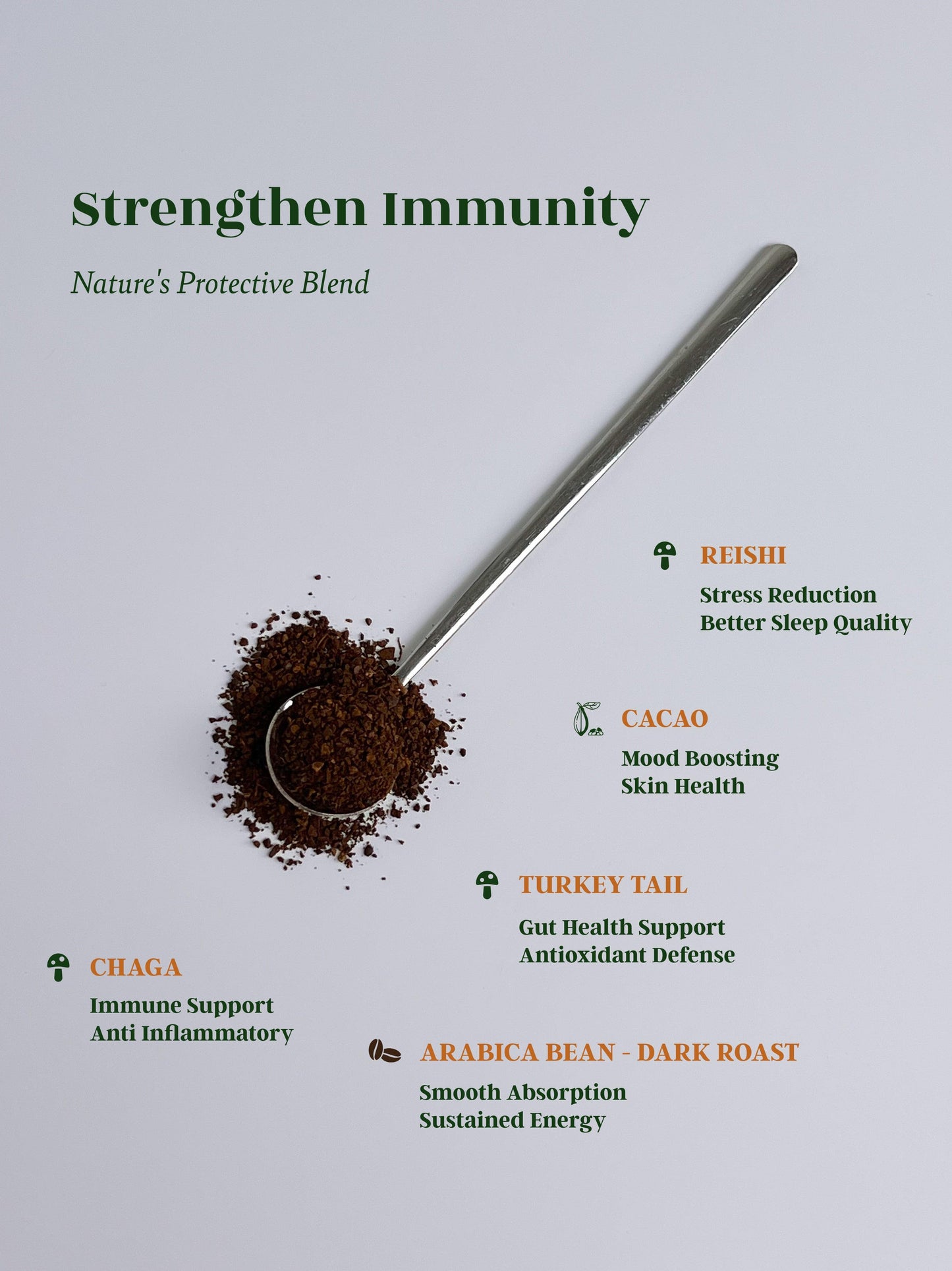 Mushroom Coffee | Warrior | Immune + Gut Support.